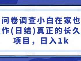 国内问卷调查小白在家也可批量操作(日结)真正的长久稳定项目，日入1k【揭秘】-天天学吧