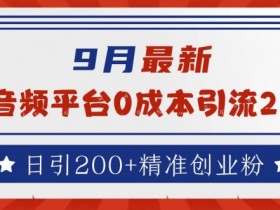 9月最新：音频平台0成本引流，日引200+精准创业粉【揭秘】-天天学吧