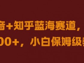 抖音+知乎蓝海赛道，日入几张，小白保姆级教程【揭秘】-天天学吧