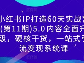 小红书IP打造60天实战营(第11期)5.0​内容全面升级，硬核干货，一站式引流变现系统课-天天学吧