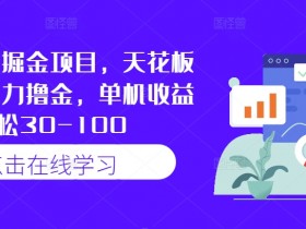 快手最新掘金项目，天花板玩法，暴力撸金，单机收益轻松30-100-天天学吧