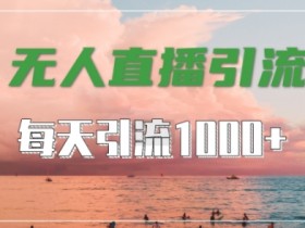 抖音快手视频号全平台通用，无人直播引流法，超暴力引流1000+高质量精准创业粉【揭秘】-天天学吧