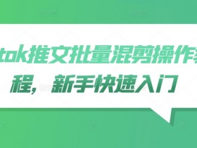 tiktok推文批量混剪操作教程，新手快速入门-天天学吧