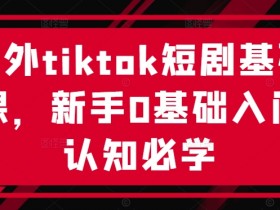 海外tiktok短剧基础课，新手0基础入门认知必学-天天学吧