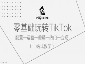 零基础玩转TikTok，配置一运营一剪辑一热门一变现，一站式教学-天天学吧