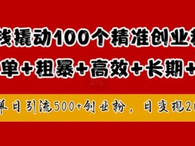 1块钱撬动100个精准创业粉，简单粗暴高效长期精准，单人单日引流500+创业粉，日变现2k【揭秘】-天天学吧