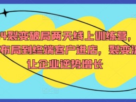 2024裂变破局两天线上训练营，从品牌布局到终端客户进店，裂变流量让企业逆势增长-天天学吧