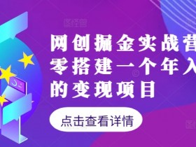 网创掘金实战营，从零搭建一个年入百万的变现项目（持续更新）-天天学吧