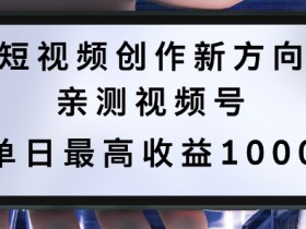 短视频创作新方向，历史人物自述，可多平台分发 ，亲测视频号单日最高收益1k【揭秘】-天天学吧