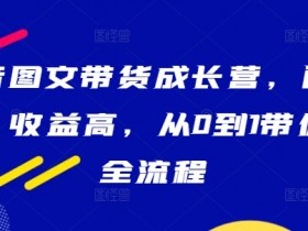 抖音图文带货成长营，门槛低、收益高，从0到1带你学全流程-天天学吧