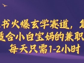 小红书火爆玄学赛道，复制粘贴，适合小白宝妈的兼职副业，每天只需1-2小时【揭秘】-天天学吧