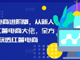 小红书电商进阶版，从新人进阶小红薯电商大佬，全方位玩透红薯电商-天天学吧