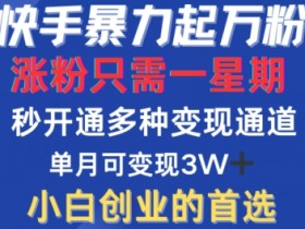 快手暴力起万粉，涨粉只需一星期，多种变现模式，直接秒开万合，单月变现过W【揭秘】-天天学吧