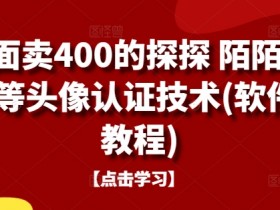 外面卖400的探探 陌陌 积木等头像认证技术(软件+教程)-天天学吧