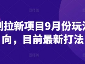 短剧拉新项目9月份玩法方向，目前最新打法-天天学吧