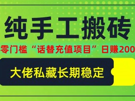 纯搬砖零门槛“话替充值项目”日赚200+(大佬私藏)【揭秘】-天天学吧