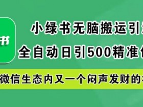 小绿书无脑搬运引流，全自动日引500精准创业粉，微信生态内又一个闷声发财的机会【揭秘】-天天学吧