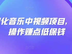 可视化音乐中视频项目，无脑操作赚点低保钱-天天学吧