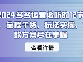 2024多多运营必听的12节课，全程干货，玩法实操，爆款方案尽在掌握-天天学吧