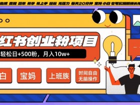 小红书创业粉项目日+500粉，每天20分钟躺赚长尾收益，无脑操作，宝妈，小白抓紧冲【揭秘】-天天学吧