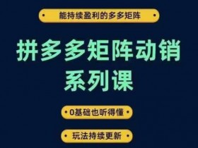 拼多多矩阵动销系列课，能持续盈利的多多矩阵，0基础也听得懂，玩法持续更新-天天学吧