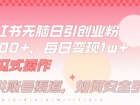 小红书无脑每日引流创业粉500+，小白每天只花半小时，躺赚长尾收益【揭秘】-天天学吧