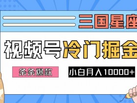 2024视频号三国冷门赛道掘金，条条视频爆款，操作简单轻松上手，新手小白也能月入1w-天天学吧