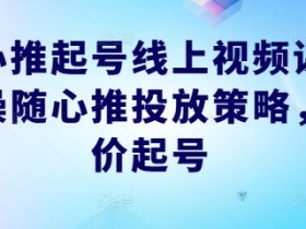 随心推起号线上视频课，实操随心推投放策略，正价起号-天天学吧