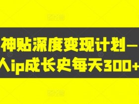 天涯神贴深度变现计划——个人ip成长史每天300+【揭秘】-天天学吧