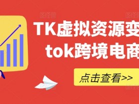 TK虚拟资源变现-tiktok跨境电商教程-天天学吧