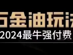 2024最牛强付费，万金油强付费玩法，干货满满，全程实操起飞-天天学吧