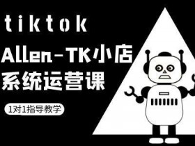 TK小店系统运营课-tiktok跨境电商教程-天天学吧