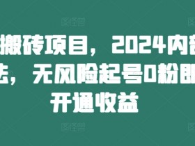 头条搬砖项目，2024内部新玩法，无风险起号0粉即可开通收益-天天学吧