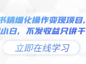 小绿书精细化操作变现项目，0基础小白，不发收益只讲干货-天天学吧