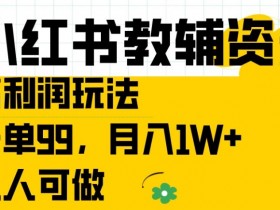 小红书教辅资料高利润玩法，一单99.月入1W+，人人可做【揭秘】-天天学吧