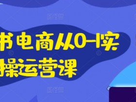 小红书电商从0-1实操运营课，小红书手机实操小红书/IP和私域课/小红书电商电脑实操板块等-天天学吧