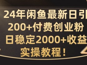 24年闲鱼最新日引200+付费创业粉日稳2000+收益，实操教程【揭秘】-天天学吧