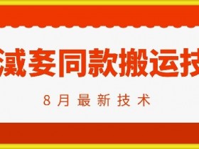 抖音96万粉丝账号【嫠㵄㚣】同款搬运技术-天天学吧