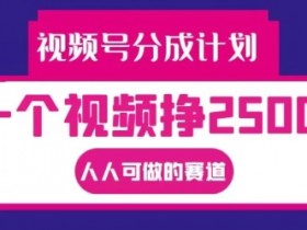 视频号分成计划，一个视频挣2500+，人人可做的赛道【揭秘】-天天学吧