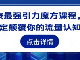 地表最强引力魔方课程，一定颠覆你的流量认知-天天学吧