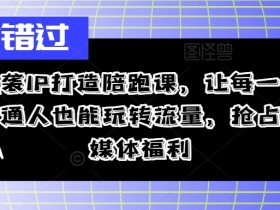 逆袭IP打造陪跑课，让每一个普通人也能玩转流量，抢占自媒体福利-天天学吧