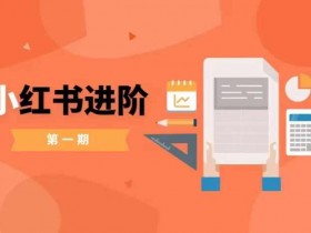 小红书进阶篇，零基础小白实战课，普通人变现的课程-天天学吧