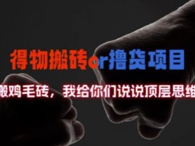 得物搬砖撸货项目?掰下数据，我给你们说说顶层思维【揭秘】-天天学吧