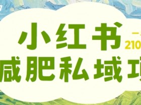 小红书减肥粉，私域变现项目，一单就达210元，小白也能轻松上手【揭秘】-天天学吧