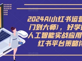 2024AI小红书运营(从入门到大师)，好学好用的人工智能实战应用课，小红书平台策略详解-天天学吧