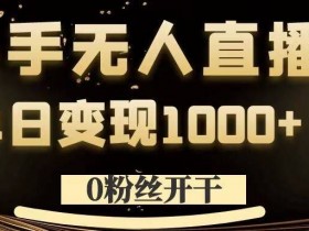 0粉丝开干，快手无人直播，单日变现1k+【揭秘】-天天学吧