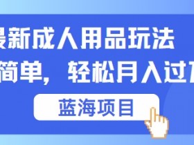 最新成人用品项目玩法，操作简单，动动手，轻松日入几张【揭秘】-天天学吧