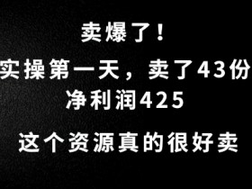 这个资源，需求很大，实操第一天卖了43份，净利润425【揭秘】-天天学吧