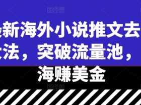 最新海外小说推文去重大法，突破流量池，出海赚美金-天天学吧