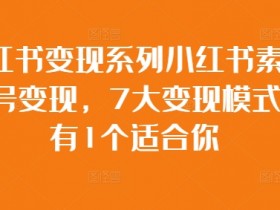 小红书变现系列小红书素人账号变现，7大变现模式总有1个适合你-天天学吧